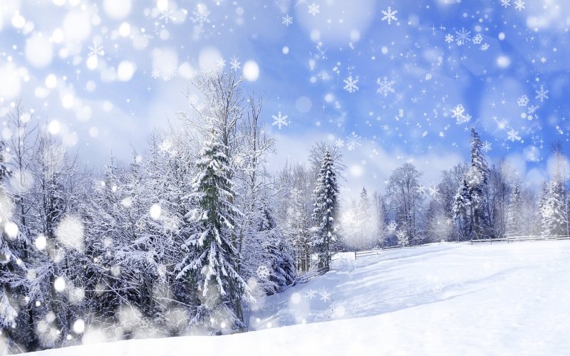 bi_winter_2013_2014_bg.jpg
