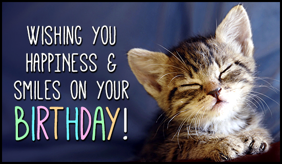 birthday-smiles-cat-kitten-550x320.jpg