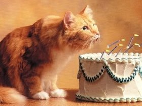 BirthdayKitty_zpsfpsogzy6.jpg