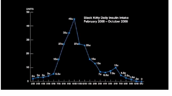 BK insulin graph (600x337).jpg
