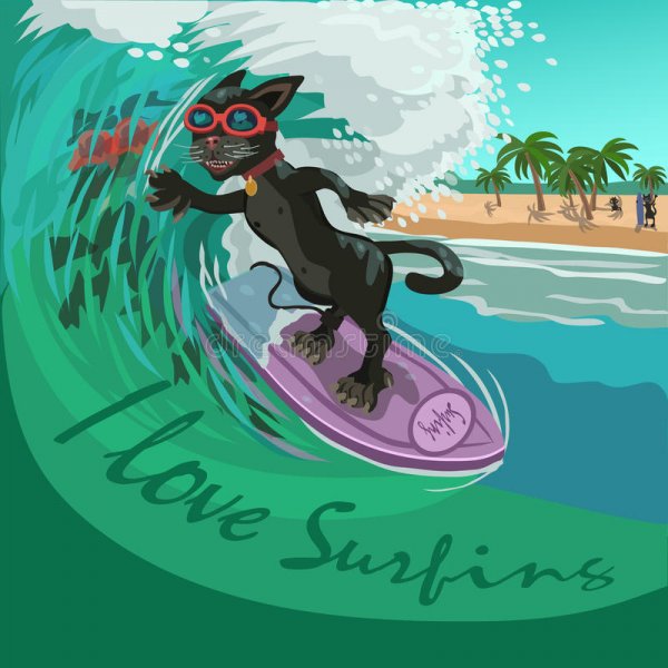 black-cat-surfer.jpg