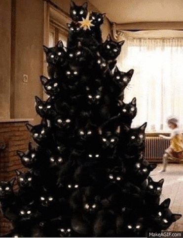 Black Cat Tree.gif