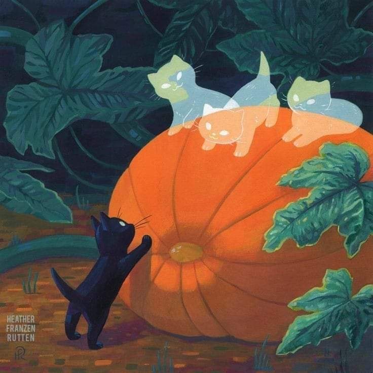 Black Cats on Pumpkin.jpg