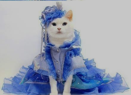 blue dress China.PNG