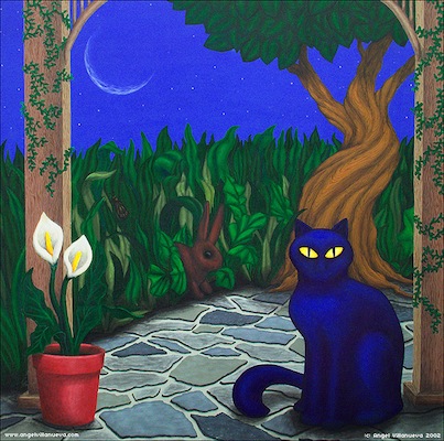 BlueCat.jpg