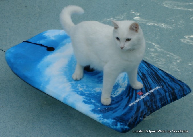 boogie board (Small).jpg