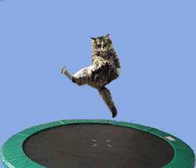 bounce.gif