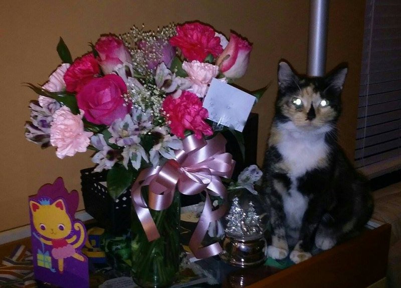 Brandy flowers 9-2015.jpg