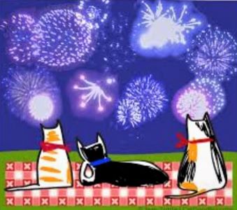 cat fireworks FDMB.JPG