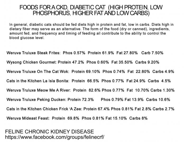 cat food analysis diabetic kidney.jpg