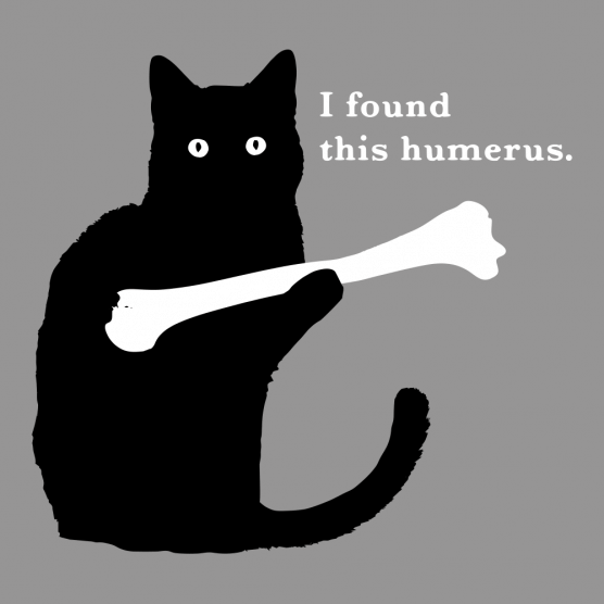 Cat Humerus.png