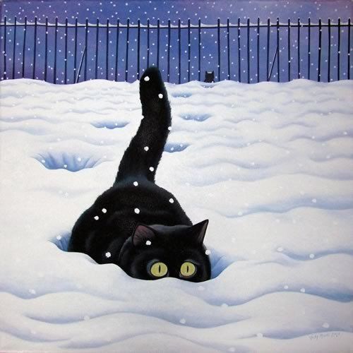 cat in snow.jpg