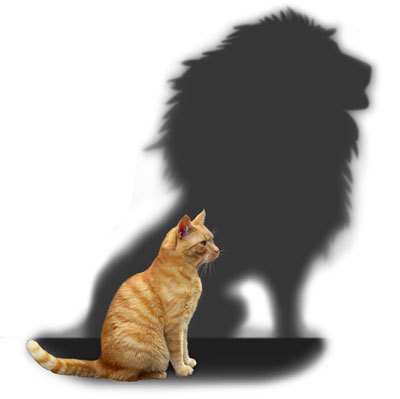 cat-lion-shadow_0.jpg