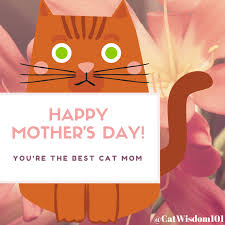 cat mom.jpg