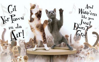 Cat-Party.jpg