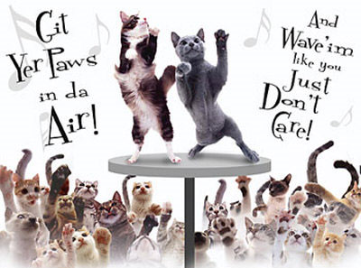 cat-partydancing-cats_zps8082d8d4.jpg