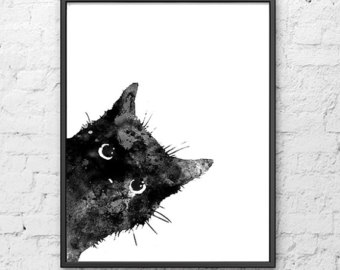 Cat peeking.jpg
