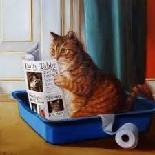 cat pooping.jpg