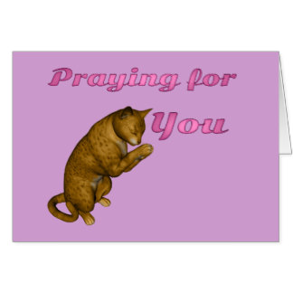 cat praying.jpg