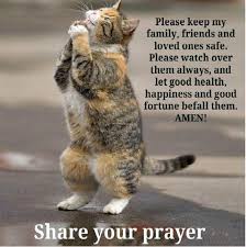 Cat Quote 2.jpeg
