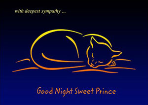 cat-sympathy-card (1).jpg