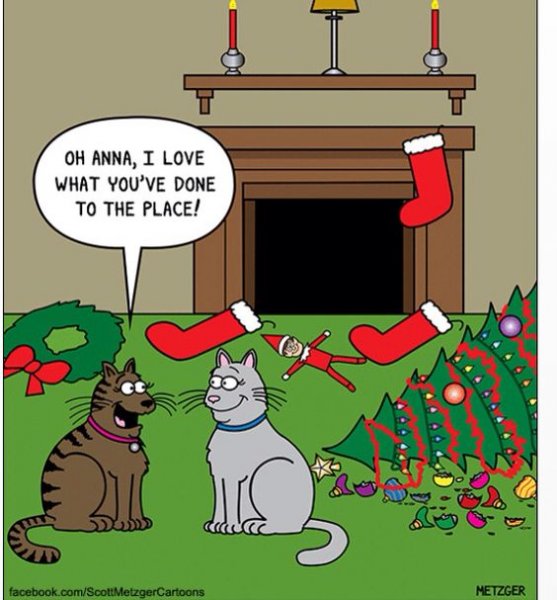 cat tree decorating.jpg