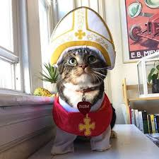 cat_pope.jpg