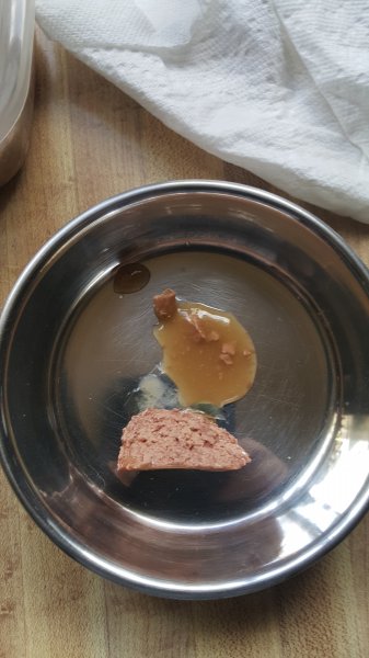 catfood.jpg