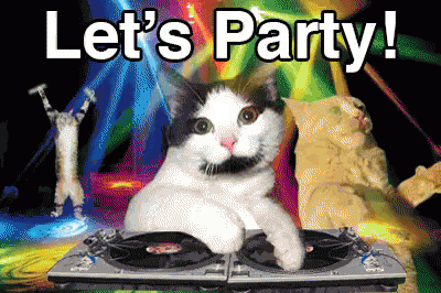 catparty4.gif