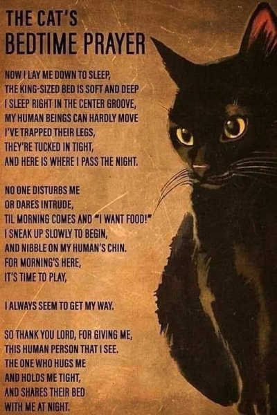 Cat's Bedtime Prayer.jpg