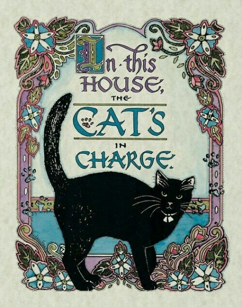 cats in charge.png