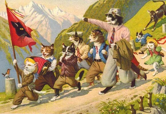 cats-mountain-hike.jpg