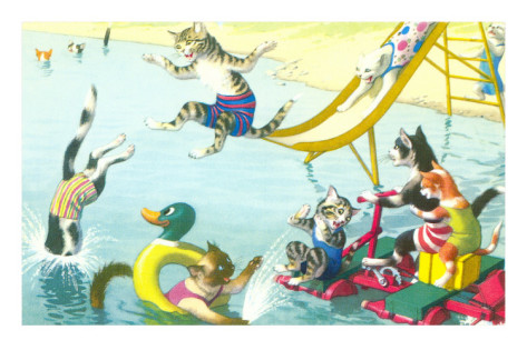 cats-sliding-into-swimming-pool.jpg