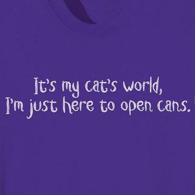 cats world, cans.jpg
