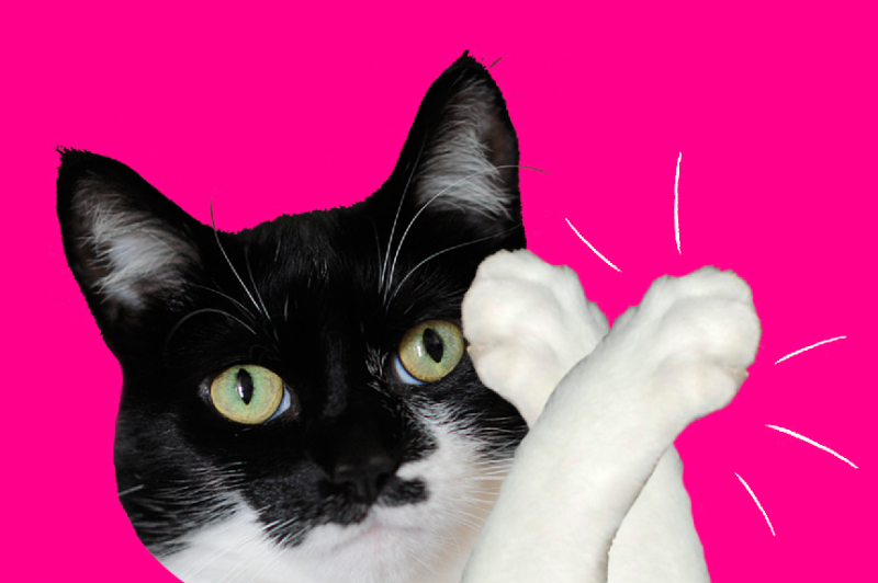 CCE04DBF-6756-4054-B97C-8BCCE13A8083.png
