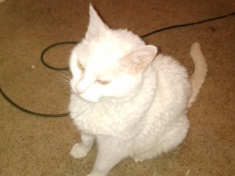 China before diagnosis.jpg