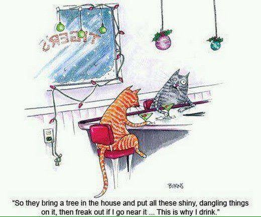 Christmas Cats.jpg