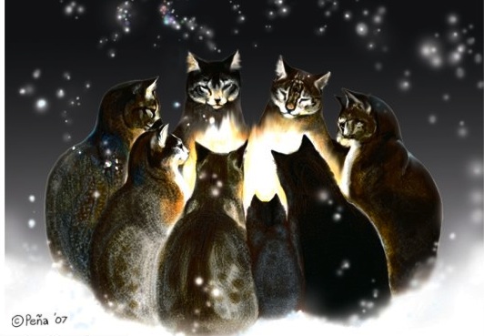 circle of cats.jpg