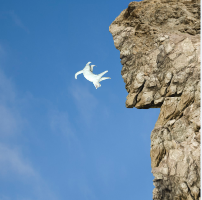 cliff diving China1.PNG