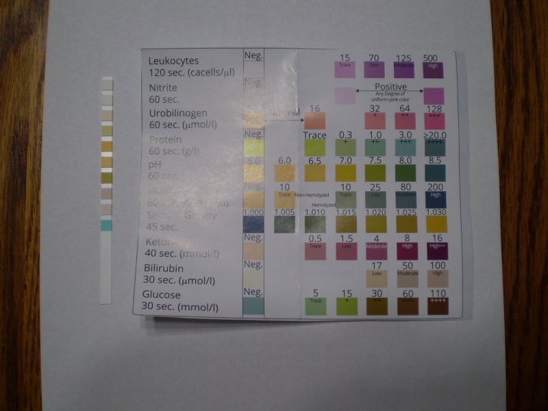 color scheme unused strip.JPG