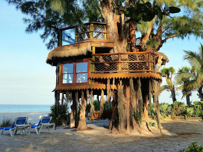 Cool-Beach-Tree-House.jpg