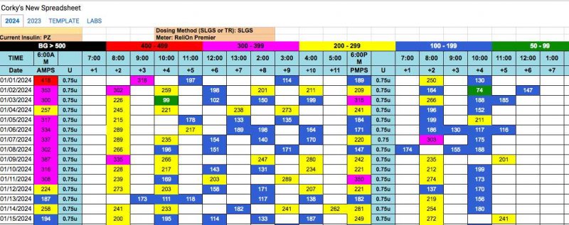 Corky's spreadsheet.jpg
