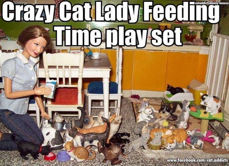 crazy cat lady feeding time play set.jpg