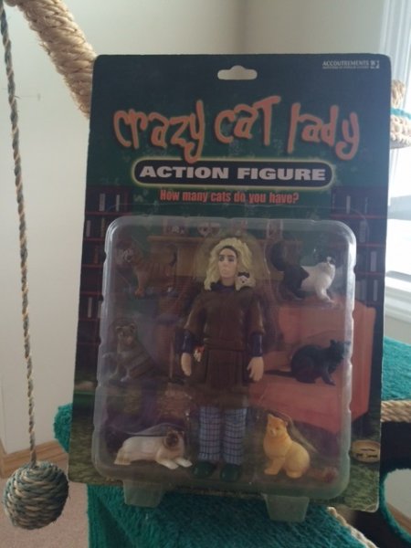 Crazy Cat Lady.jpg