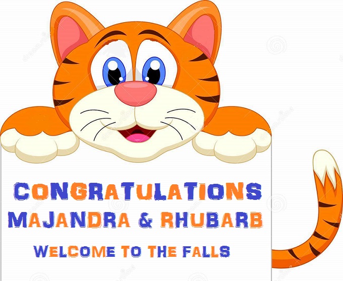 cute-tiger-cartoon-blank-sign-illustration-34223170.jpg
