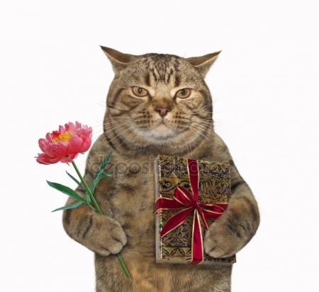 depositphotos_150596578-stock-photo-cat-with-flower-and-gift.jpg