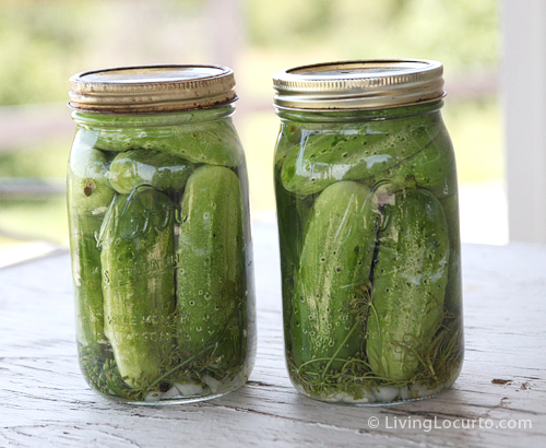 dill-pickle-recipe.jpg