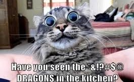 dragons in the kitchen.jpeg
