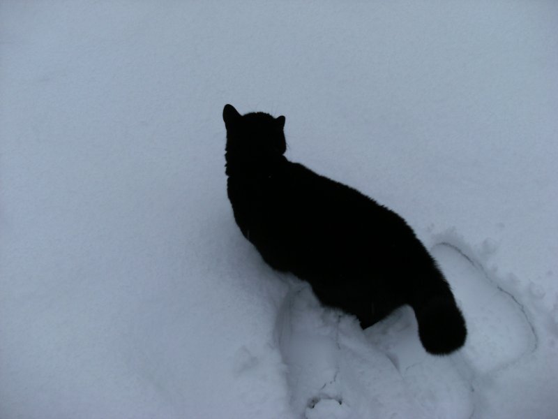 DSCF0596.JPG