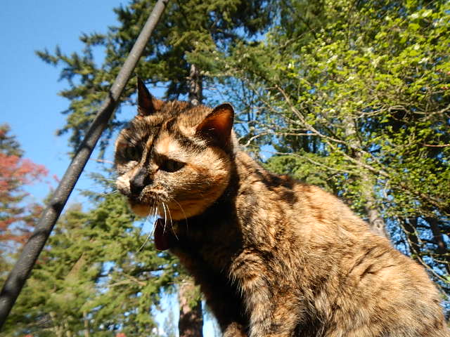 DSCN0011.JPG